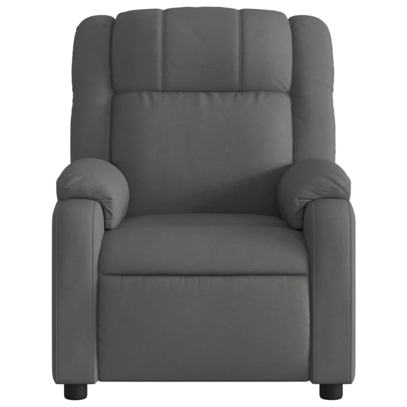 Fauteuil relax TV rembourrage confortable fonction d'inclinaison manuelle en tissu gris foncé DEC027931