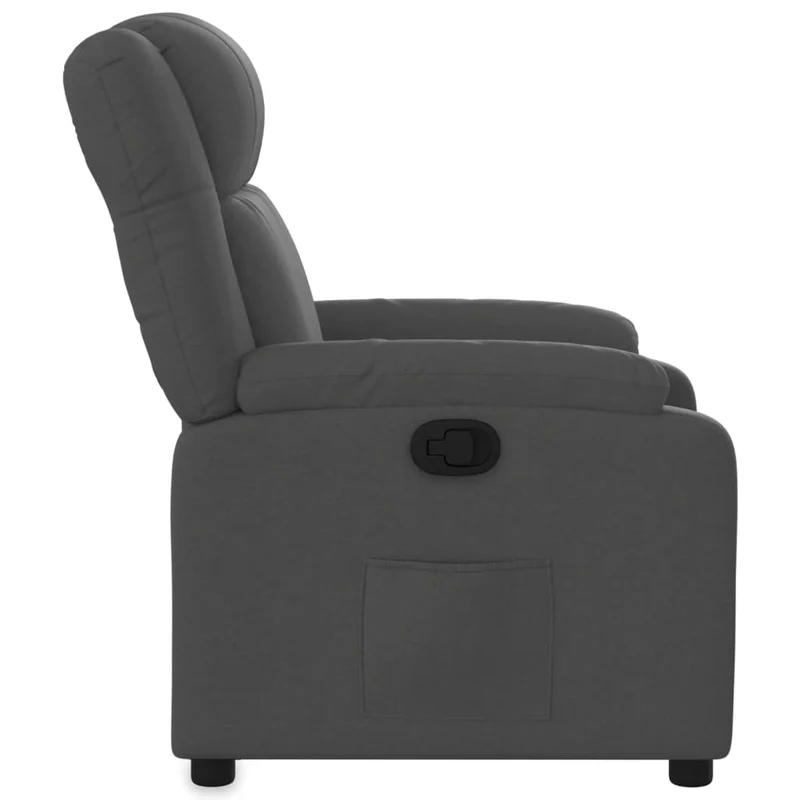 Fauteuil relax TV rembourrage confortable fonction d'inclinaison manuelle en tissu gris foncé DEC027931