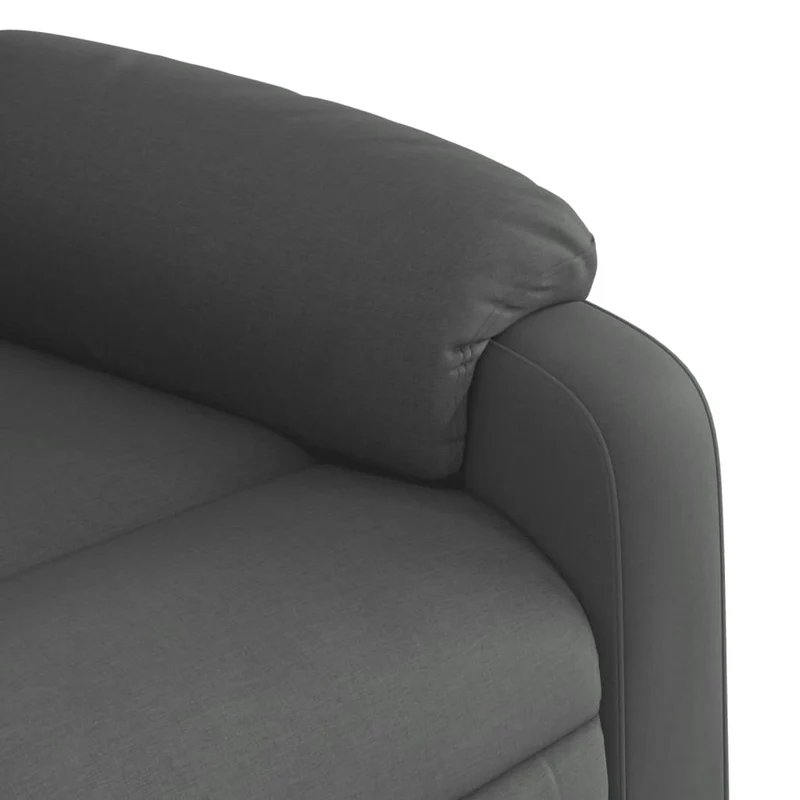 Fauteuil relax TV rembourrage confortable fonction d'inclinaison manuelle en tissu gris foncé DEC027931