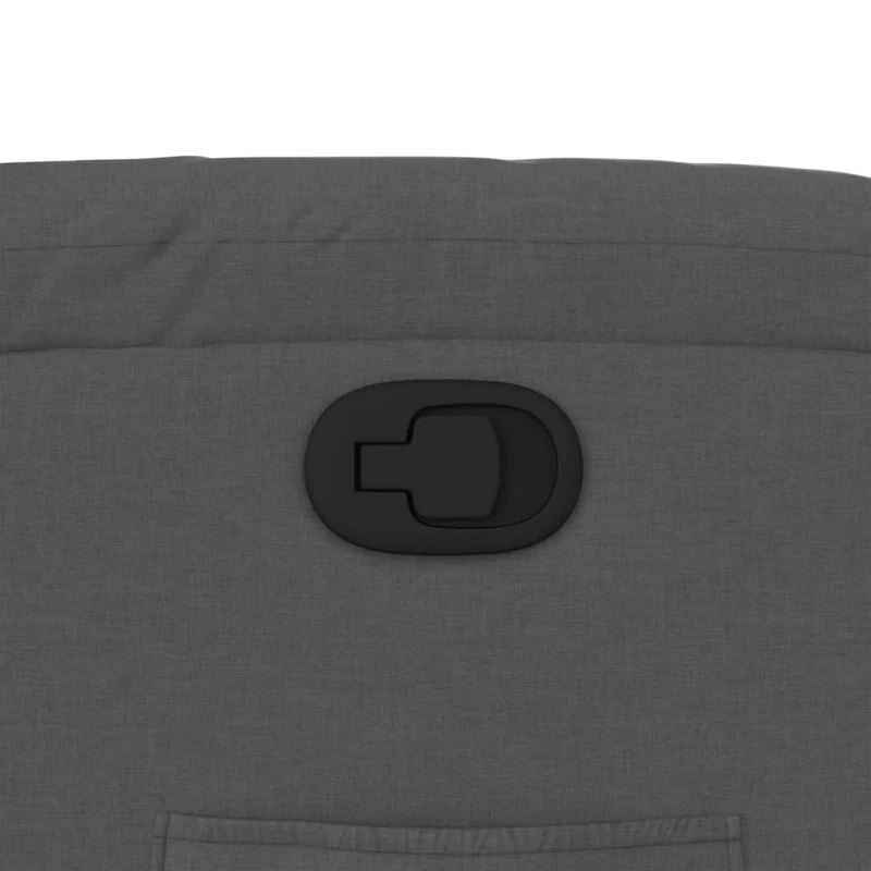 Fauteuil relax TV rembourrage confortable fonction d'inclinaison manuelle en tissu gris foncé DEC027931