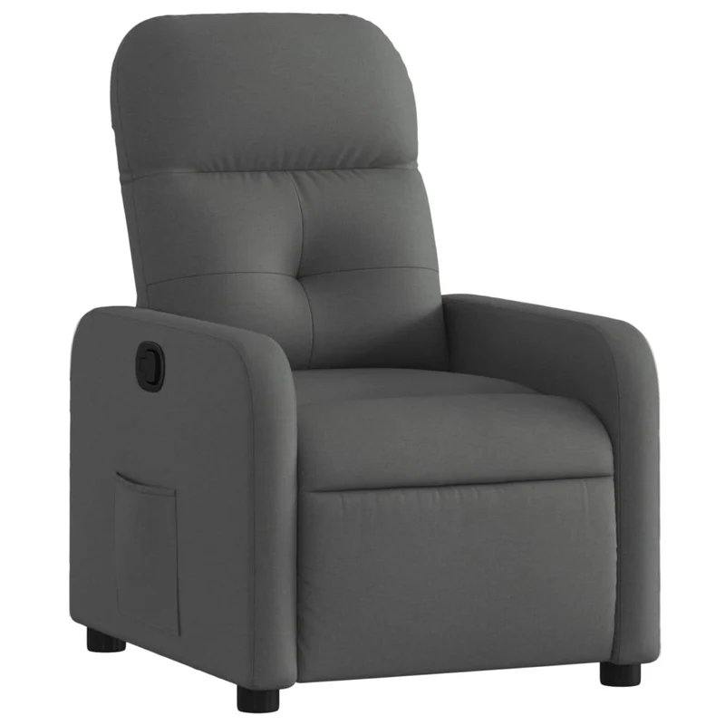 Fauteuil relax TV rembourrage confortable fonction d'inclinaison manuelle en tissu gris foncé DEC027945