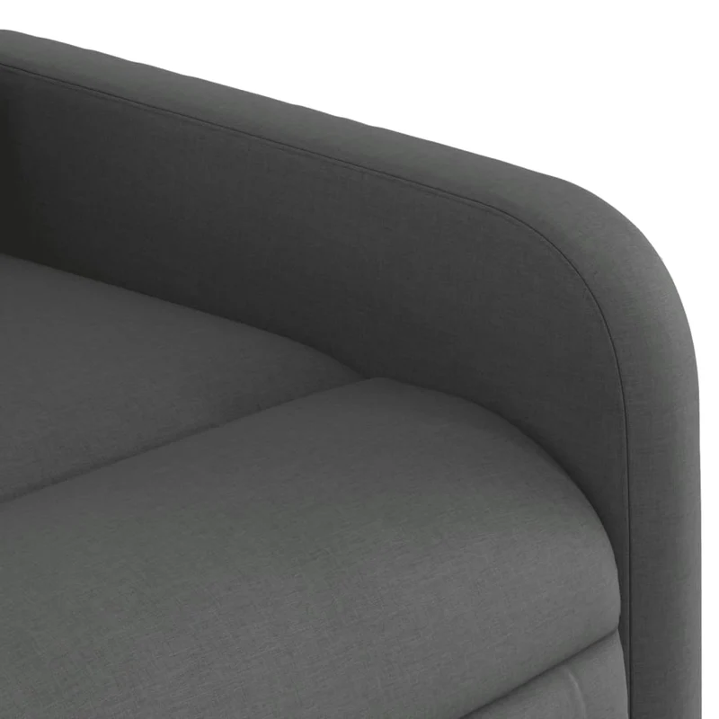 Fauteuil relax TV rembourrage confortable fonction d'inclinaison manuelle en tissu gris foncé DEC027945