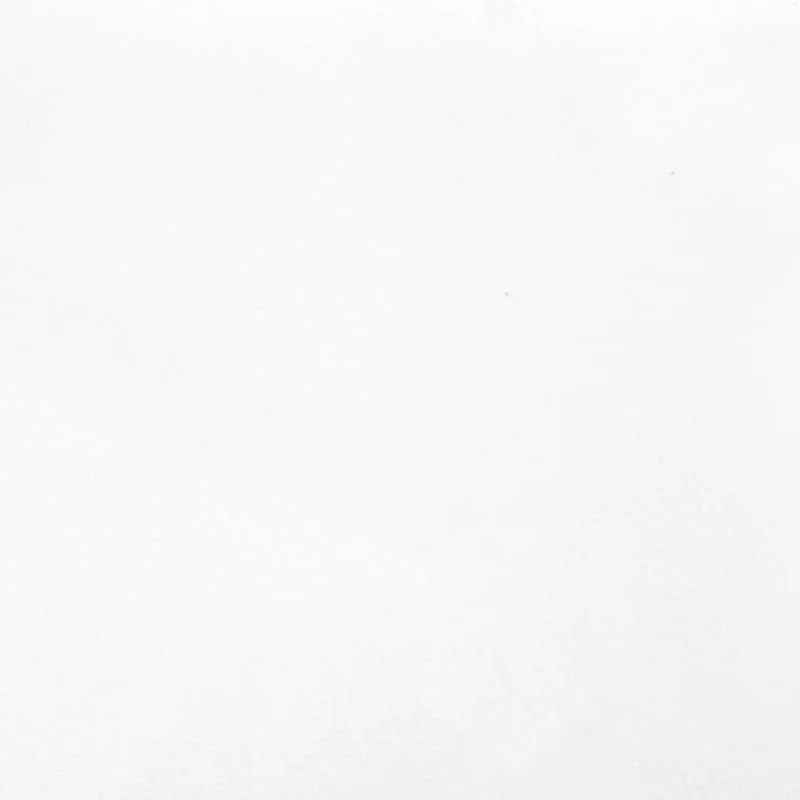 Sommier à lattes sur pieds cadre de lit 120x200 cm synthétique blanc TDL0207367
