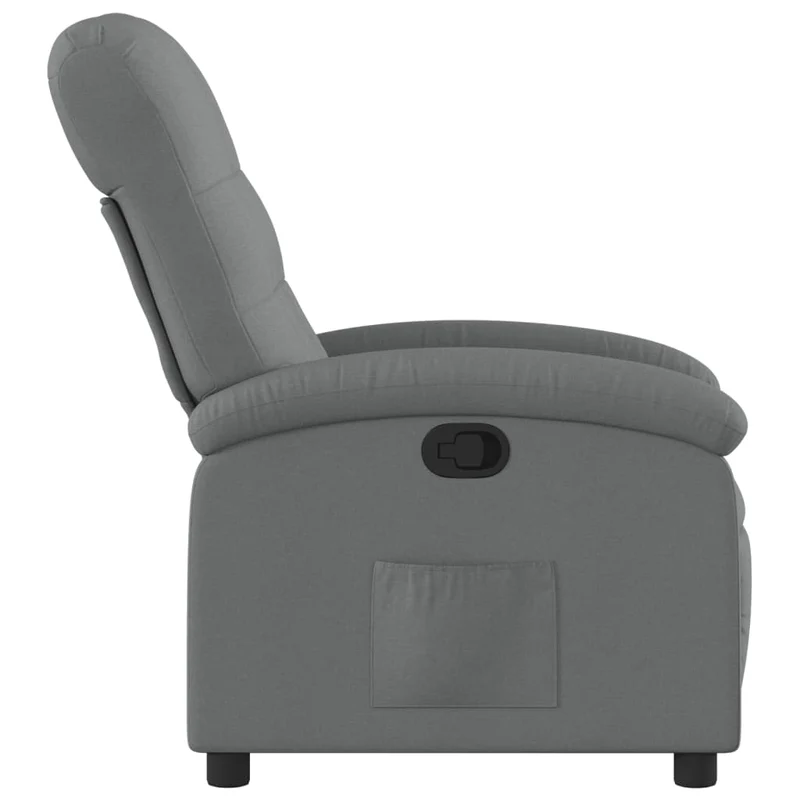 Fauteuil relax TV rembourrage confortable fonction d'inclinaison manuelle en tissu gris foncé DEC027949