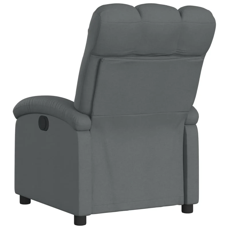 Fauteuil relax TV rembourrage confortable fonction d'inclinaison manuelle en tissu gris foncé DEC027949