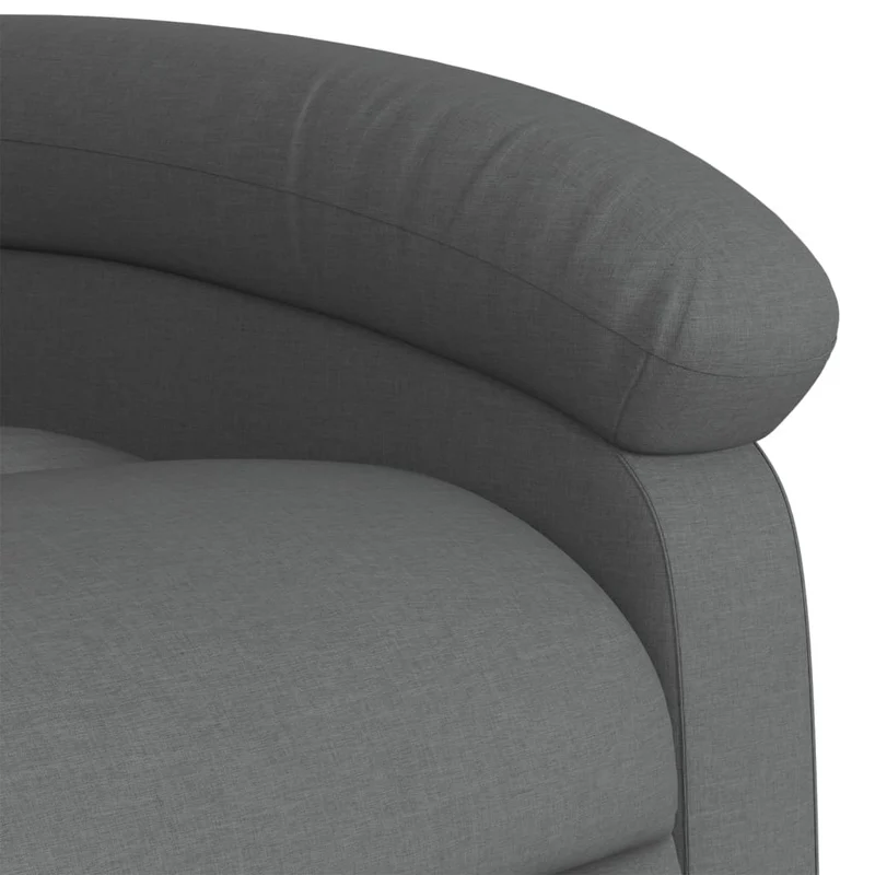 Fauteuil relax TV rembourrage confortable fonction d'inclinaison manuelle en tissu gris foncé DEC027949