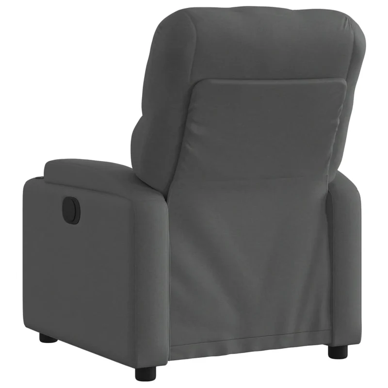Fauteuil relax TV rembourrage confortable fonction d'inclinaison manuelle en tissu gris foncé DEC027942