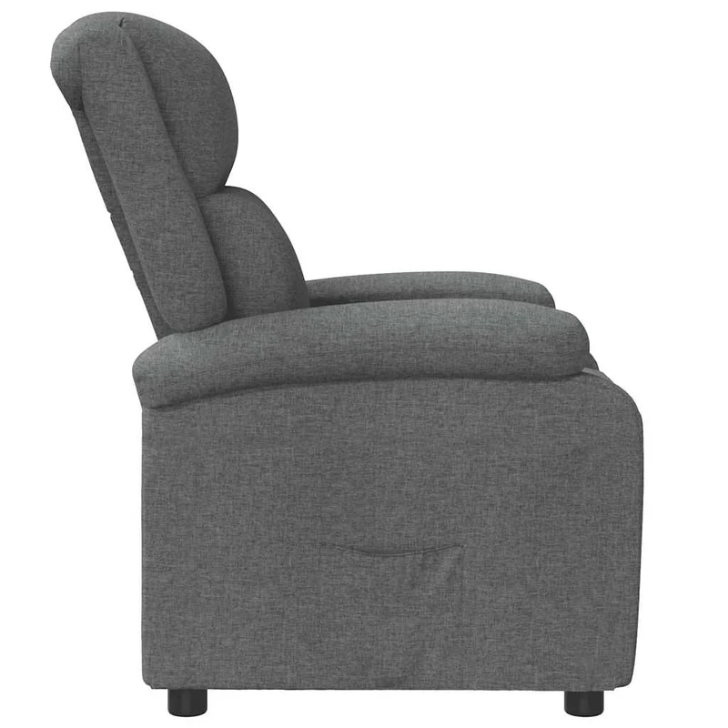 Fauteuil relax TV rembourrage confortable fonction d'inclinaison manuelle en tissu gris DEC027940